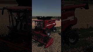 🔥Świetny CASE w Farming Simulator 22🔥✅️ farming harvest żniwa shorts fs22 [upl. by Gombosi]