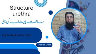 Stricture urethra پیشاب کی نالی کی رکاوٹ Dr imran Qadir [upl. by Alecram]