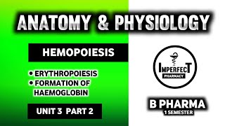 Hematopoiesis  Erythropoiesis  Human Anatomy And Physiology  HAP  B Pharma [upl. by Cozza]