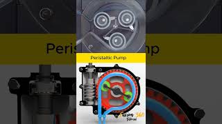 How Does a Peristaltic Pump Work Understanding the Precision and Efficiency of This Pumping System [upl. by Wilen]