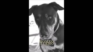 CALONCHO  Homeotermo EP [upl. by Anirehc]