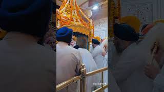 Aar Nanak Par Nanak 🌷shorts shabad [upl. by Eyeleen]