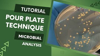 Enumeration of microbes using Pour Plate Method [upl. by Zachariah129]