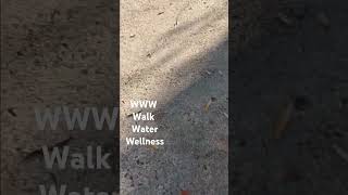 WWW Walk Water Wellness lovewhatyoudodowhatyoulove [upl. by Ottilie]