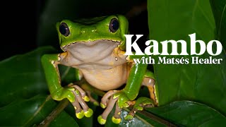 Kambo Ceremony with Matses Healer English subtitles [upl. by Bennet341]