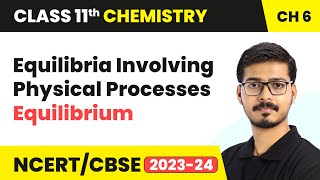 Equilibria Involving Physical Processes  Equilibrium  Class 11 Chemistry Chapter 6 [upl. by Phineas]