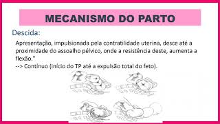 Mecanismos do parto [upl. by Attennek]