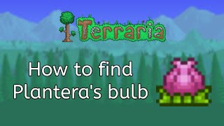 How to find Planteras bulb Terraria 14 Mobile 2021 [upl. by Arquit]