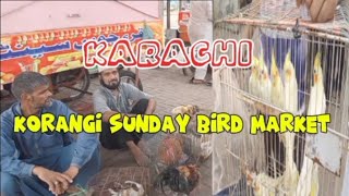 Karachi korangi 25 No Sunday bird Market 772024 [upl. by Letnom847]