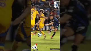 Gallos Blancos 1 vs Tigres 0 Liga BBVA MX Apertura 2024 Jornada 8 [upl. by Yentiw]