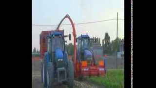 sugar beet leaf harvesting [upl. by Allrud]