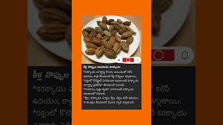 కీళ్ల నొప్పుల నివారణకు కరక్కాయ Karakkaya para aliviar el dolor en las articulaciones ayurvedam [upl. by Ayian]