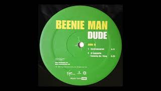 Beenie Man  Dude Acapella [upl. by Namurt]