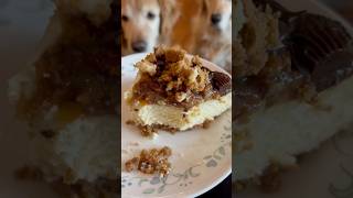 golden retriever tamil love food love to eatmouthwatering trendingshorts viralvideo reels [upl. by Pall]