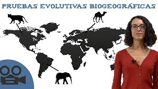 Pruebas evolutivas biogeográficas [upl. by Eimrots]