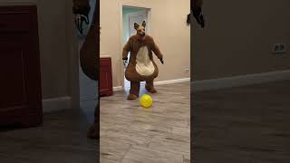 A fat shaggy dog brings balloons to the little doggie [upl. by Enidaj]