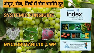 MYCLOBUTANIL 10 wp  Index Systemic Fungicide [upl. by Jephum639]