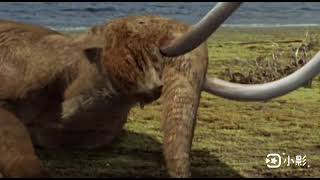 Mastodon and homotherium Wild New world [upl. by Otreblaug731]