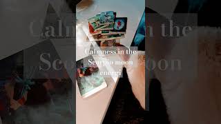 🐈 🐈‍⬛ Scorpio moon morning newmooninscorpio [upl. by Woolcott]