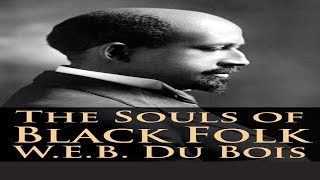 The Souls of Black Folk by W E B Du Bois Full Audio Book [upl. by Eentihw812]