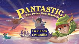 Tick Tock Crocodile  Pantastic the musical  Sing Along [upl. by Nolasba]