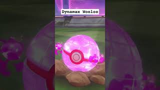 Catching Dynamax Wooloo [upl. by Garber]