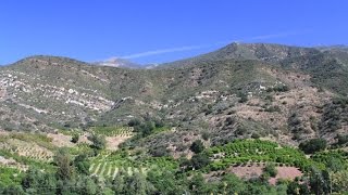 Ojai California [upl. by Latin]