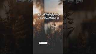 koch khwab toot gy 🥀sad winkcreation urdulines sadpoetryinurdu ytshorts [upl. by Naesad]