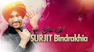 BEST OF SURJIT BINDRAKHIA  PUNJABI SONGS JUKEBOX  TSERIES APNA PUNJAB [upl. by Riamu765]