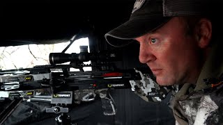 Aoudad Hunting with the TenPoint TX 440 [upl. by Stodder]