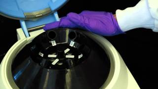 How to Use a Centrifuge [upl. by Addia]