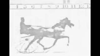 Eadweard Muybridge  Sallie Gardner bir Gallopda 1878 İlk Film [upl. by Eehtomit]