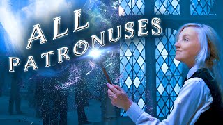 Every known PATRONUS in Harry Potter 💫 SECRET BONUS [upl. by Shantha]