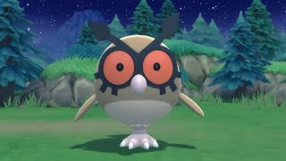 HOW TO GET Hoothoot in Pokemon Brilliant Diamond and Shining Pearl [upl. by Nilrah]