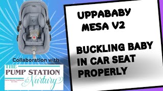 Buckling Baby in Uppababy Mesa V2 Properly [upl. by Llekim]