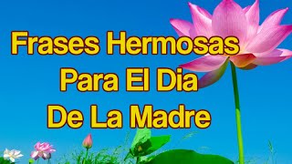 50 Frases Hermosas Para El Dia De La Madre  Feliz Dia De La Madre [upl. by Eseilana]