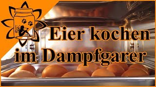 Eier kochen im Dampfgarer  Meine neue Küche  Garteneinkochfee [upl. by Butterfield]