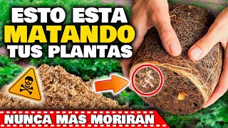 ESTOS son los 5 ERRORES más TERRIBLES que NO SABES de Cuidar PLANTAS y FLORES  Jardín y Huerto [upl. by Elay]