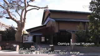 Oomiya Bonsai village 【埼玉県公式観光動画】 [upl. by Ninos]