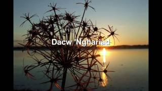 Eve Goodman  Dacw Nghariad Welsh folk song [upl. by Duane]