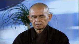 Thich Nhat Hanh  Open Mind Open Heart Retreat  Day 3 [upl. by Eltsirc]