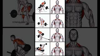 Back Workout using Barbell [upl. by Puna]