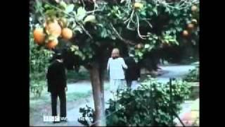 Iranian Revolution 1979 Fall of a Shah 10 of 10  BBC Documentary [upl. by Namsaj]