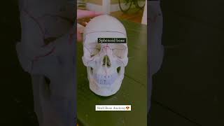 Skull bones and Bones name anatomy shortsvideo viralvideo [upl. by Reve]