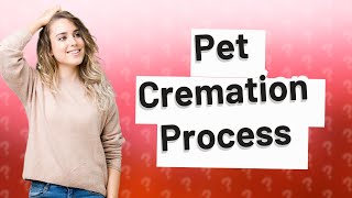 What happens after pet cremation [upl. by Daisie178]