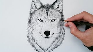 APRENDE cómo DIBUJAR un LOBO realista explicado PASO A PASO 🐺✅ [upl. by Mathi]