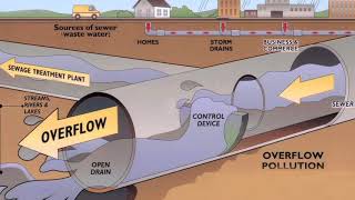 What is Stormwater Runoff [upl. by Jaella]