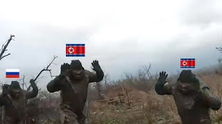 Ukrainian FPV drones brutally destroy North Korean and russian Soldiers [upl. by Wirth]