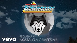 Los Temerarios  Nostalgia Campesina Animated Video [upl. by Nangatrad964]