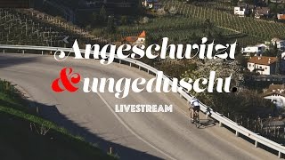 Angeschwitzt und ungeduscht Episode 3 [upl. by Analrahc]